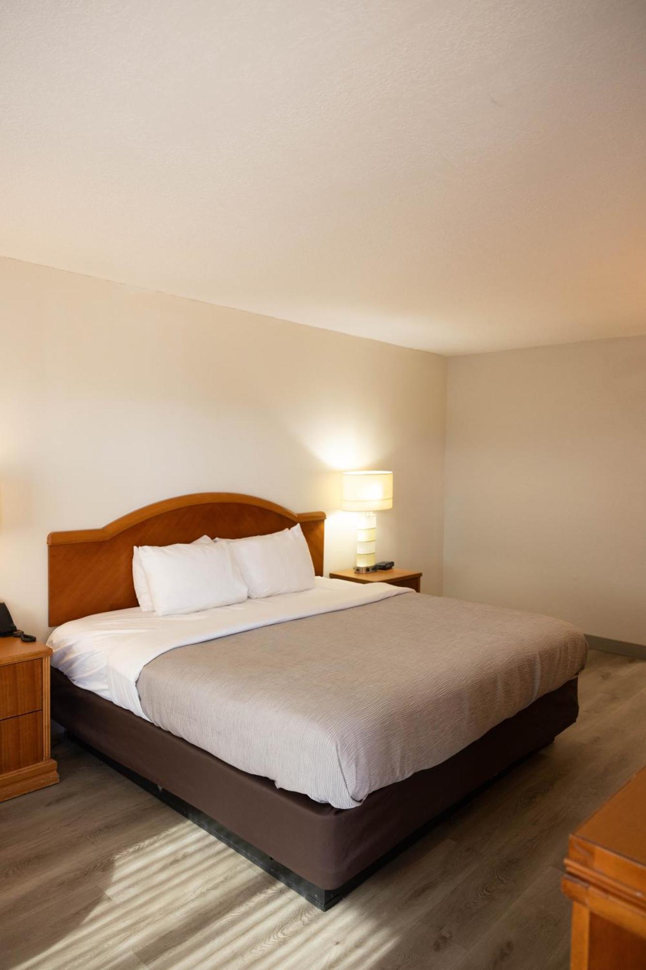 Quality Inn & Suites Lake Havasu City Dış mekan fotoğraf